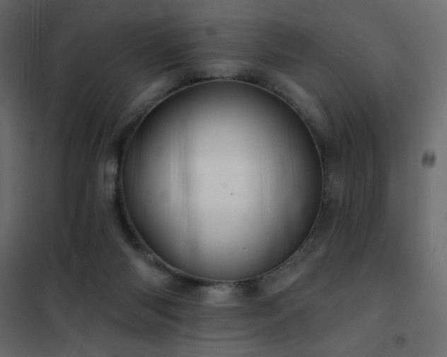 X0000102540118200808081530