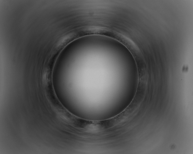 X0000102540119200808081530