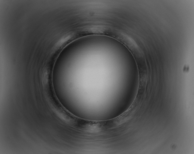 X0000102540120200808081530