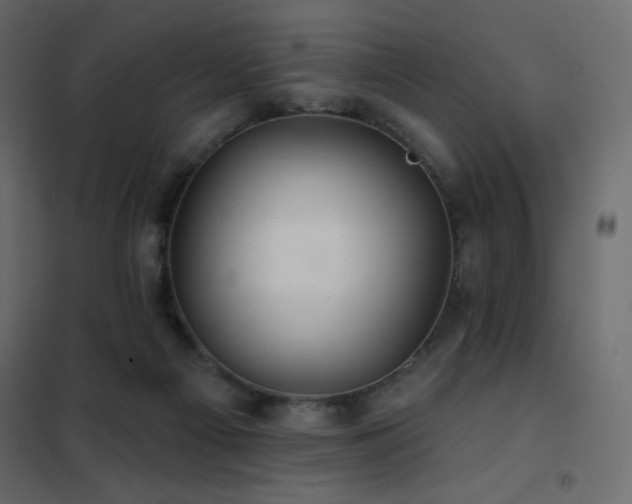 X0000102540121200808081530
