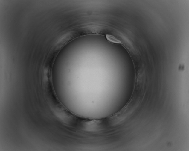 X0000102540122200808081530