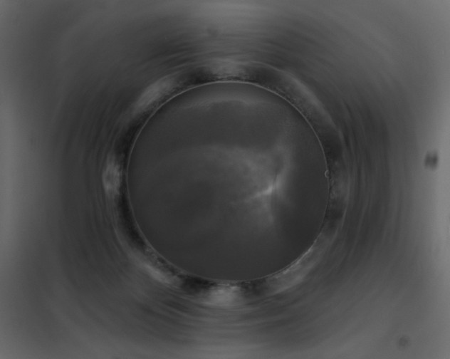 X0000102540124200808081530