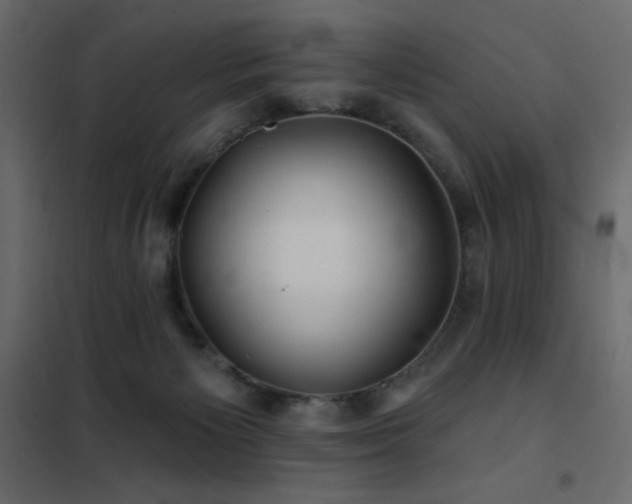 X0000102540125200808081530