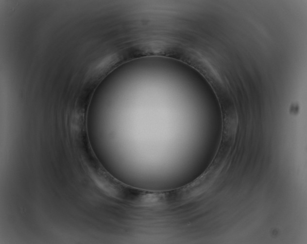 X0000102540126200808081530