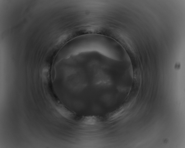 X0000102540127200808081530