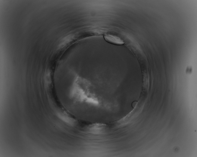 X0000102540128200808081530
