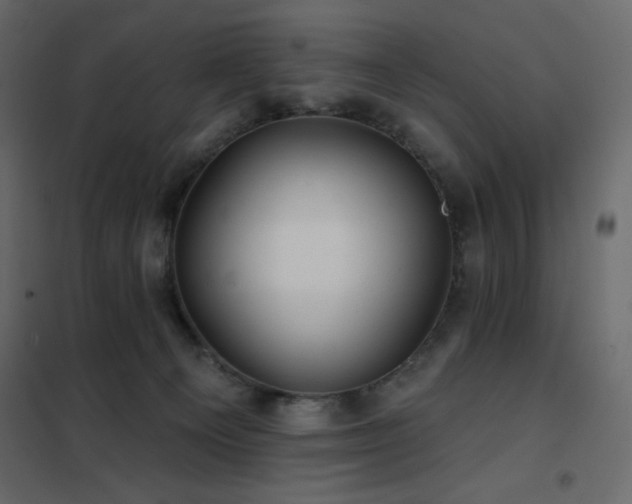 X0000102540129200808081530