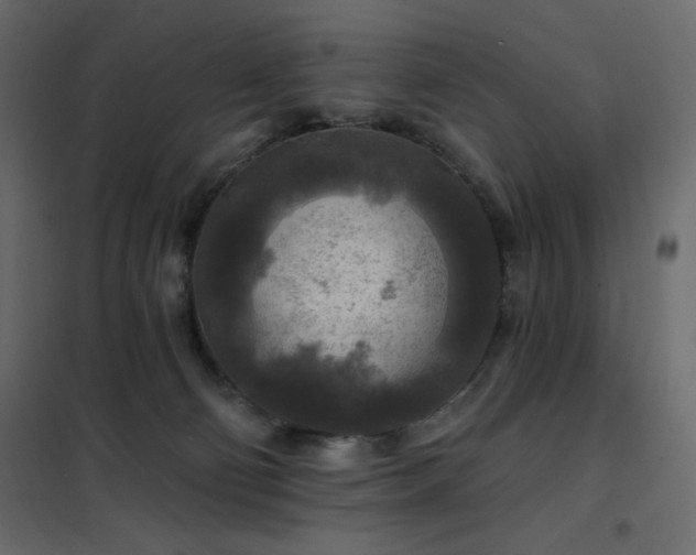 X0000102540130200808081530