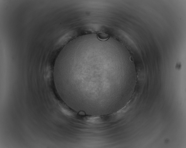 X0000102540132200808081530