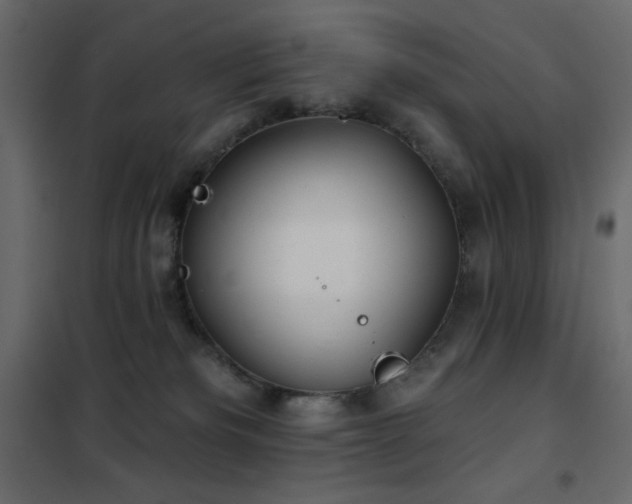 X0000102540133200808081530