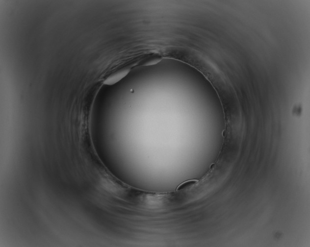 X0000102540134200808081530