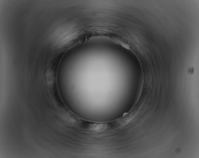 X0000102540135200808081530