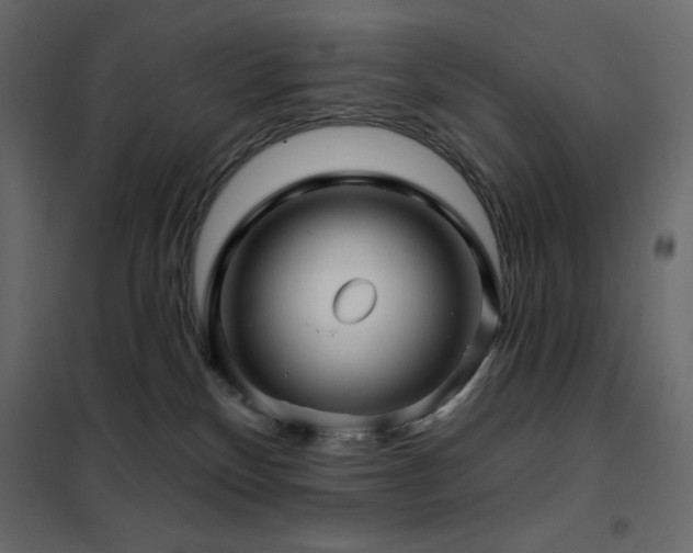 X0000102540136200808081530