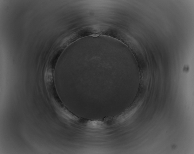 X0000102540137200808081530