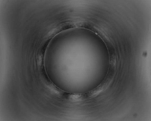 X0000102540139200808081530