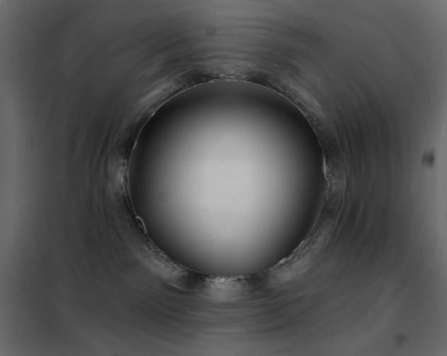X0000102540141200808081530