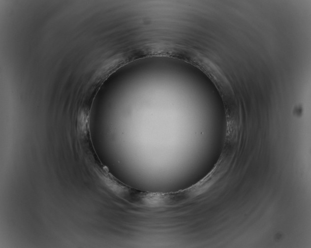 X0000102540142200808081530