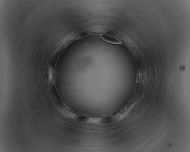 X0000102540143200808081530