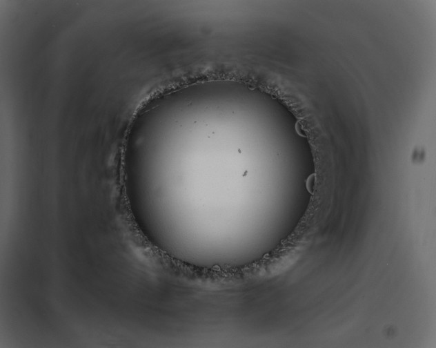 X0000102540144200808081530