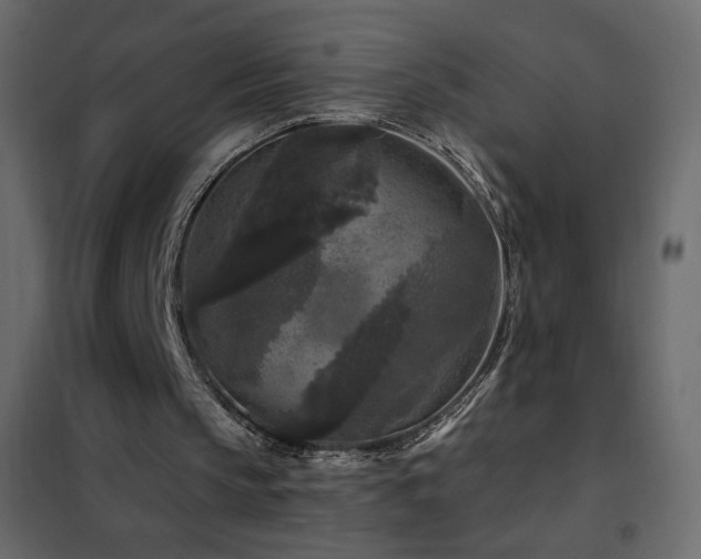 X0000102540145200808081529