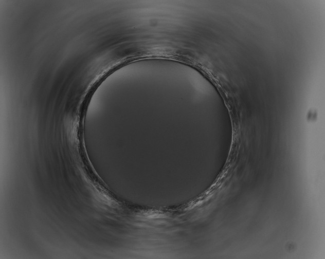 X0000102540146200808081529