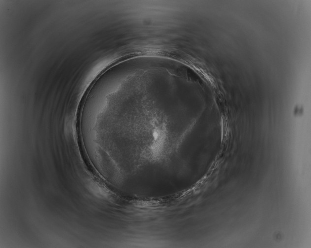 X0000102540147200808081529