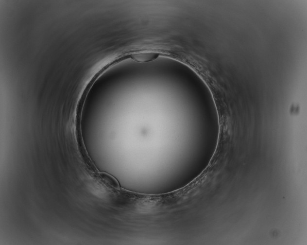 X0000102540148200808081529