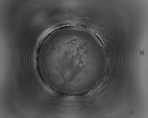 X0000102540149200808081529