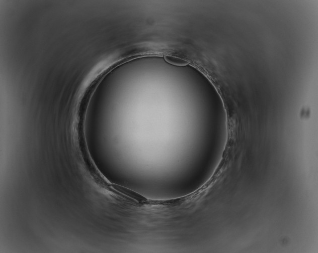 X0000102540150200808081529