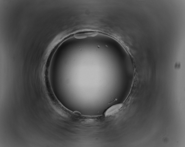 X0000102540151200808081529