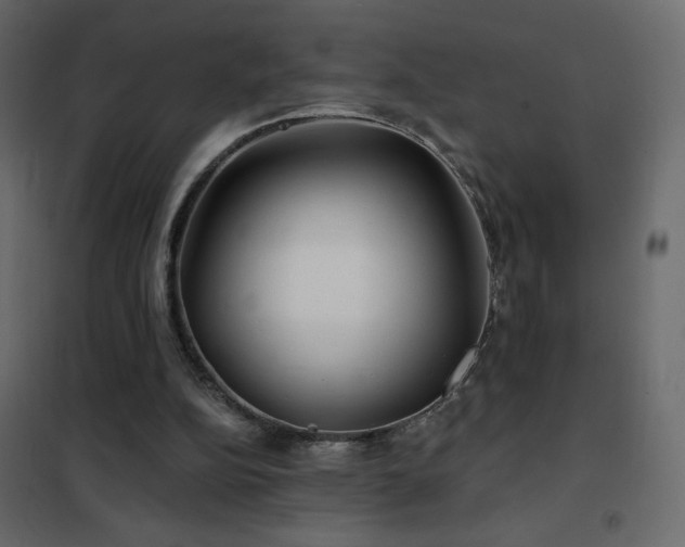 X0000102540152200808081529