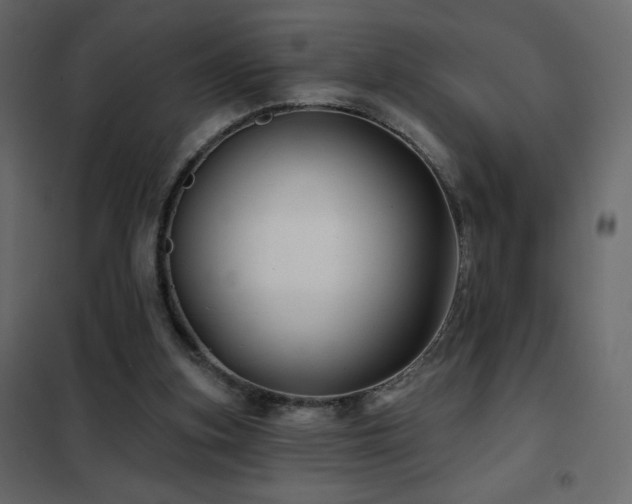 X0000102540155200808081529