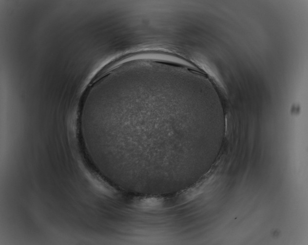 X0000102540156200808081529