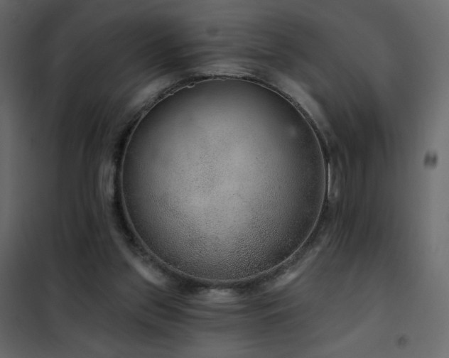 X0000102540157200808081529