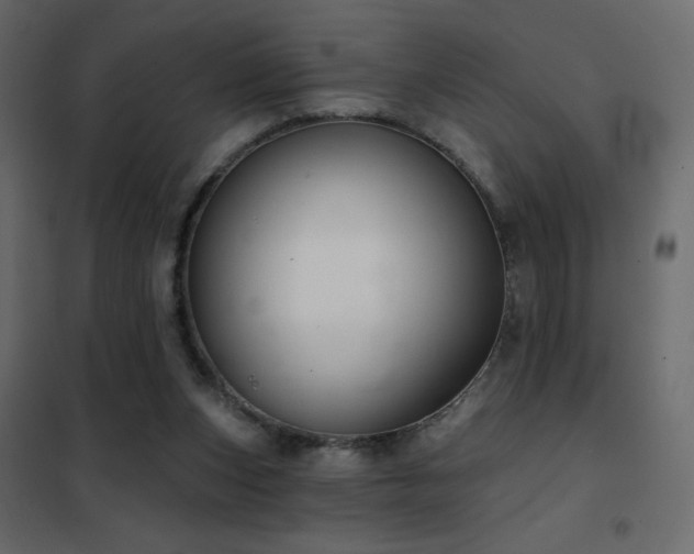 X0000102540159200808081529