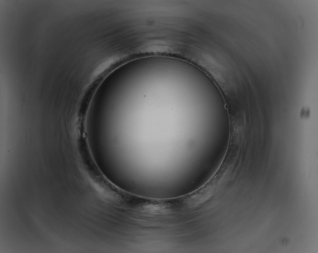X0000102540160200808081529