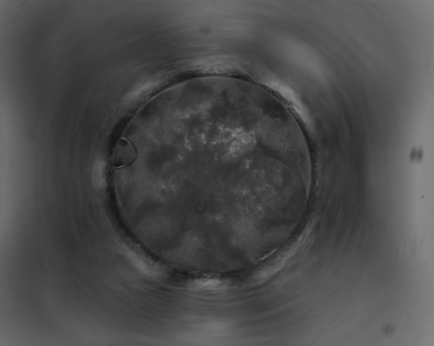 X0000102540161200808081529