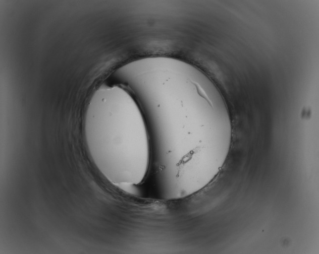 X0000102540162200808081529