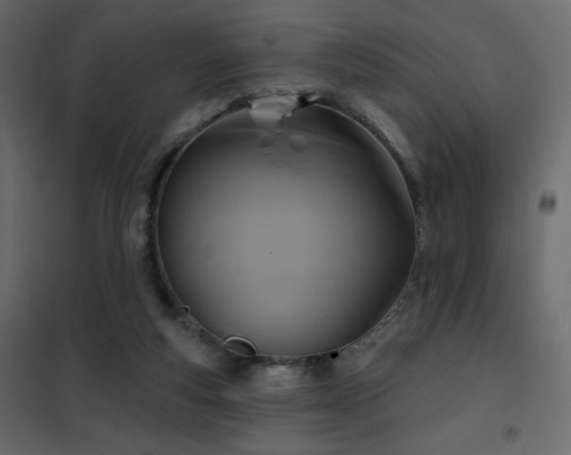 X0000102540163200808081529