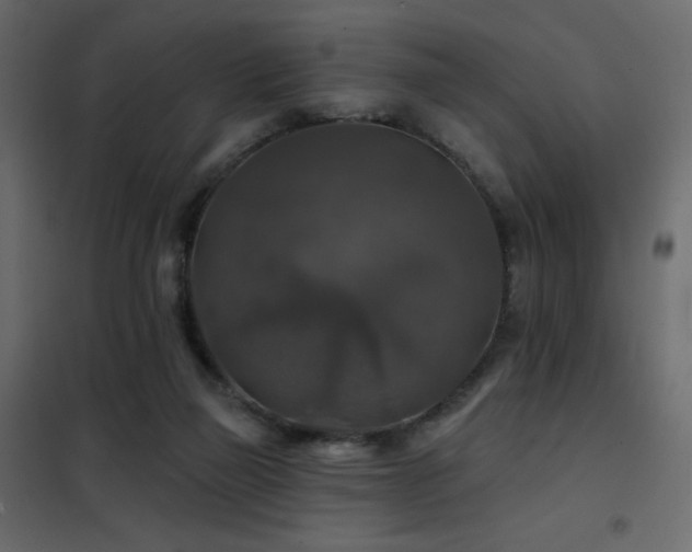 X0000102540165200808081529
