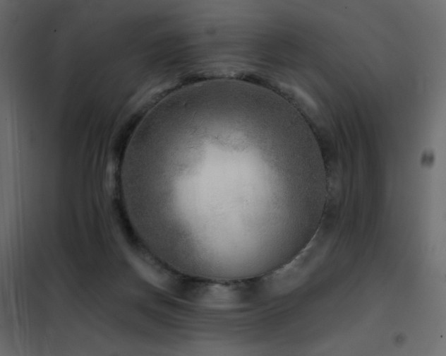 X0000102540166200808081529