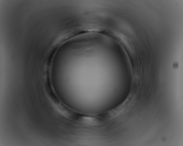 X0000102540167200808081530