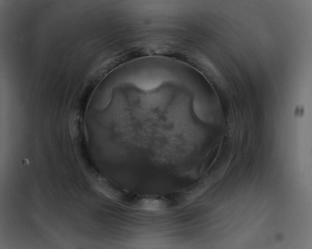 X0000102540169200808081530
