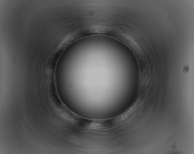 X0000102540171200808081530