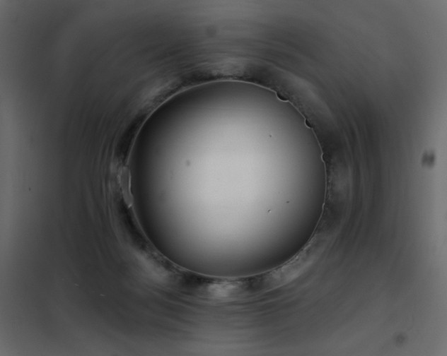 X0000102540172200808081530