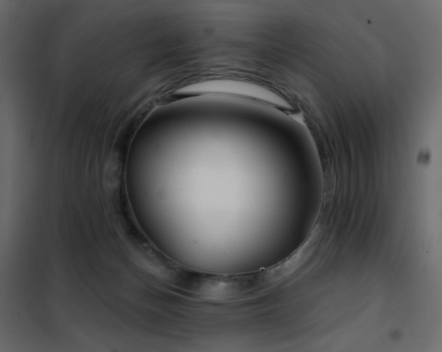 X0000102540174200808081530