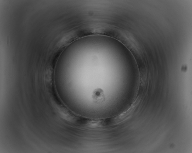 X0000102540175200808081530
