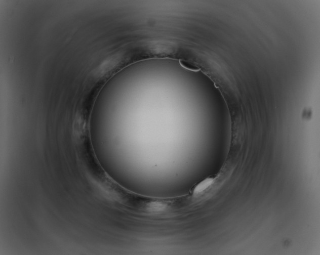X0000102540176200808081530