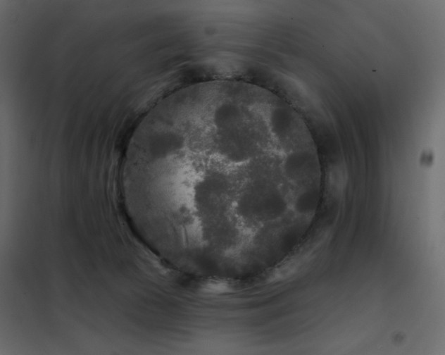 X0000102540177200808081530