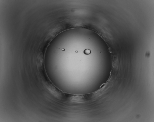 X0000102540179200808081530